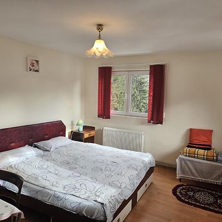 Apartament Retro-Relax Сіная Екстер'єр фото