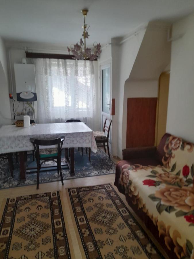 Apartament Retro-Relax Сіная Екстер'єр фото