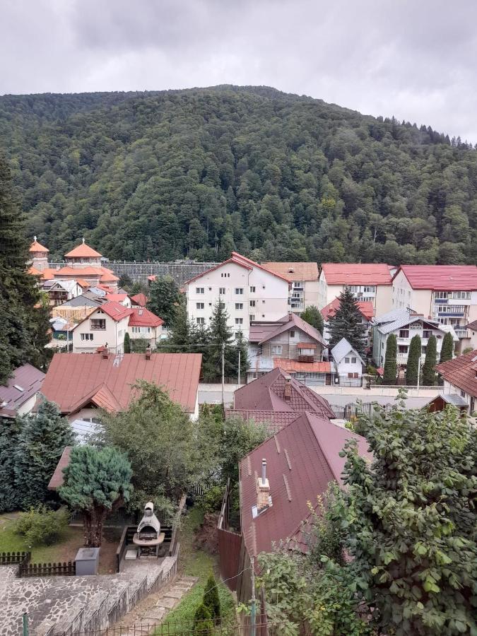 Apartament Retro-Relax Сіная Екстер'єр фото